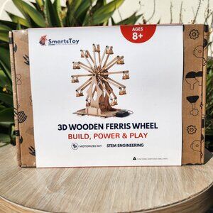 Wooden Ferris Wheel DIY 3D Puzzle Craft Kit STEM PROJECT Construction Toy Set BR